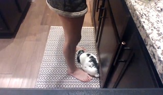 FrivolousFox ASMR feet photo thumbnail