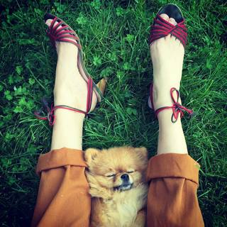 Frédérique Bel feet photo thumbnail