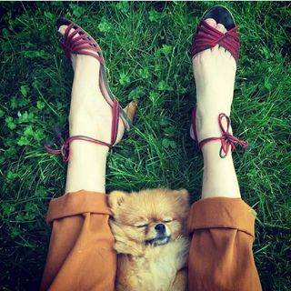 Frédérique Bel feet photo thumbnail