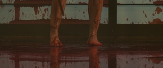 Fumi Nikaidô feet photo 8