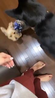 Gabbie Hanna feet photo thumbnail
