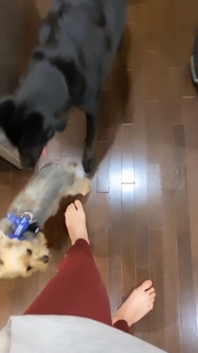 Gabbie Hanna feet photo thumbnail
