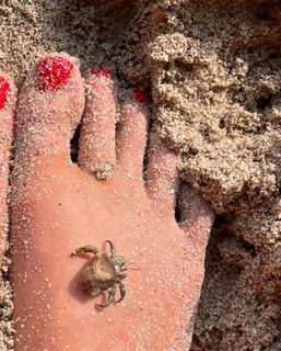 Gabby Epstein feet photo 9