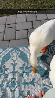 Gabby Murray feet photo thumbnail