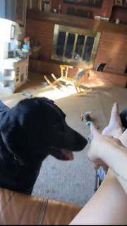 Gabby Murray feet photo thumbnail