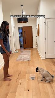 Gabby Thomas feet photo 8