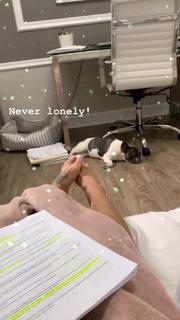 Gabi Castrovinci feet photo 10