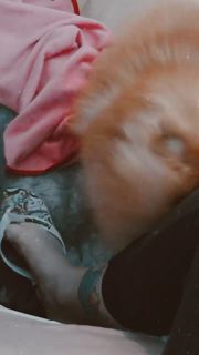 Gabi Cattuzzo feet photo 2