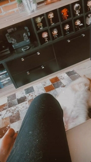Gabi Cattuzzo feet photo 11