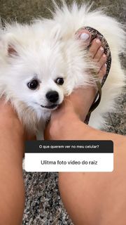 Gabi Martins feet photo thumbnail