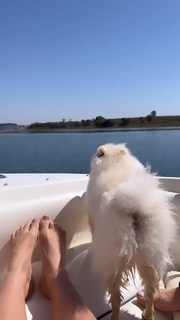 Gabi Martins feet photo thumbnail