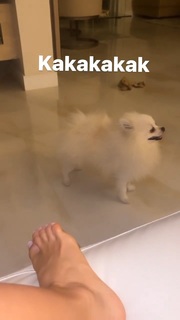 Gabi Martins feet photo thumbnail