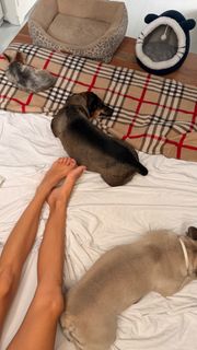 Gabriela Andrada feet photo 11