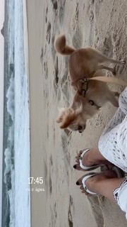 Gabriela Mag feet photo 7
