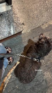 Gabriela Mag feet photo 8