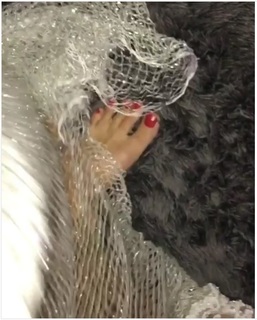 Gabriela Morais feet photo 11