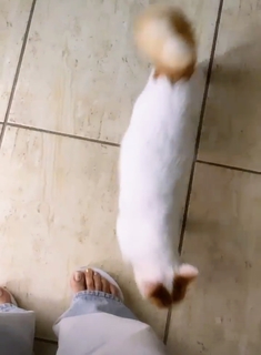 Gabriela Ordóñez feet photo 10