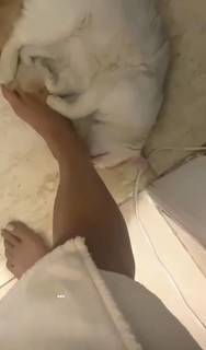 Gabriela Ordóñez feet photo 6