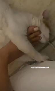 Gabriela Ordóñez feet photo 4