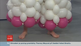 Gabriela Partysová feet photo 8