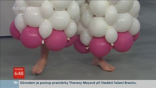 Gabriela Partysová feet photo 6