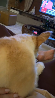 Gabriela Prioli feet photo thumbnail