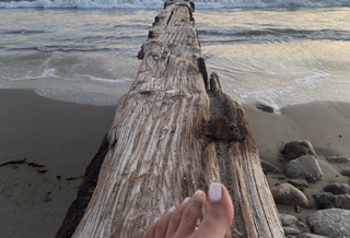 Gabriella Wright feet photo 17