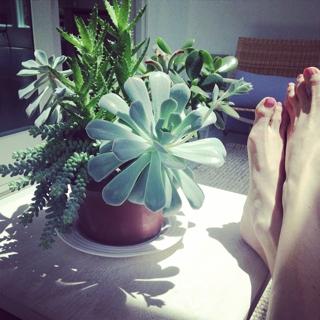Gabrielle Bernstein feet photo 13