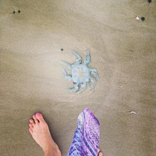 Gabrielle Bernstein feet photo 19