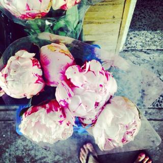 Gabrielle Bernstein feet photo 18