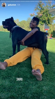 Gabrielle Union feet photo thumbnail