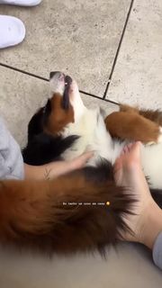 Gabriely Miranda feet photo 11