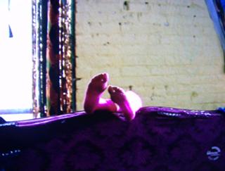 Gaby Hoffmann feet photo 8