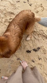 Gaia Gozzi feet photo thumbnail