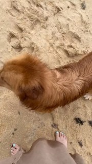 Gaia Gozzi feet photo thumbnail