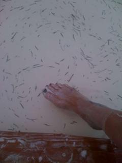 Gail Porter feet photo 20