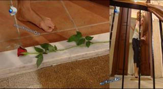 Gamze Özçelik feet photo 12