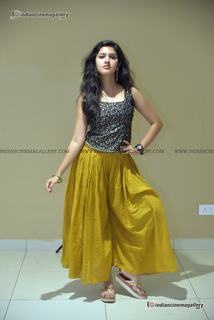 Gayathri Suresh feet photo 9