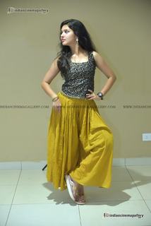 Gayathri Suresh feet photo 8