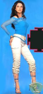 Gayatri Joshi feet photo 9