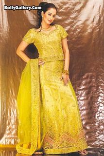 Gayatri Joshi feet photo 2