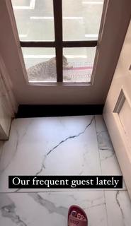 Geet Gambhir feet photo thumbnail