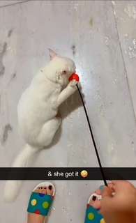 Geet Gambhir feet photo thumbnail