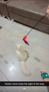 Geet Gambhir feet photo thumbnail