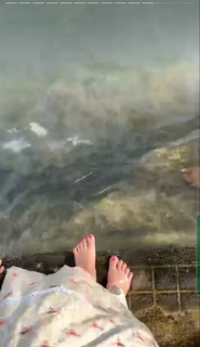 Geet Goraya feet photo 1