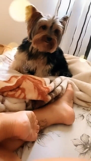 Geisy Arruda feet photo 16