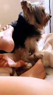 Geisy Arruda feet photo 12