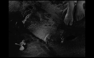 Gene Tierney feet photo 19