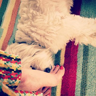 Genevieve Angelson feet photo 16