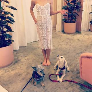 Genevieve Angelson feet photo 6